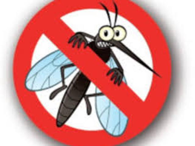 Ordinanza per la prevenzione ed il controllo delle malattie trasmesse da insetti vettori in particolare dalle zanzare