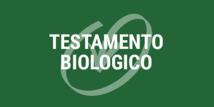 titolo immagine